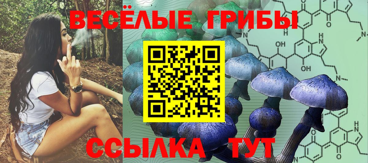 сколько стоит  Вход с VPN  Ярославль  Галлюциногенные грибы прущие грибы 